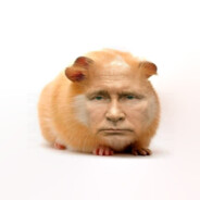 CR |volodya hamster