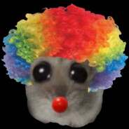 Clown Hamster