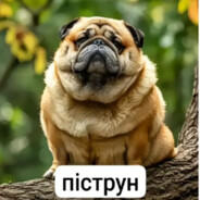 пiструн