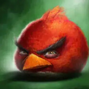 AngryBirdClan