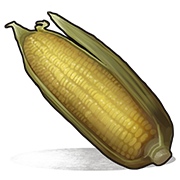 Corn