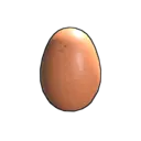 Egg