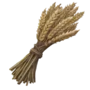 Wheat